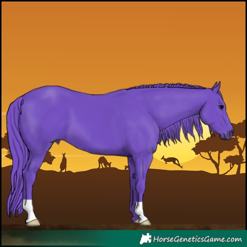 Horse Color:Watercolor Black 