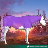 Horse Color:Watercolor Chestnut Splash