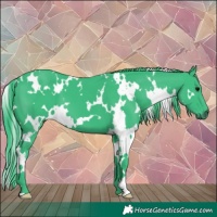 Horse Color:Watercolor White Spotted Black 