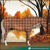 Horse Color:Plaid  Chestnut 