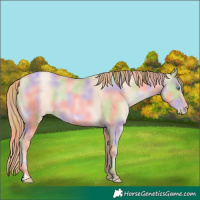 Horse Color:Nacre Amber Champagne Pearl