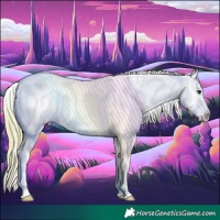 Horse Color:Watercolor White Spotted Red Dun Appaloosa 