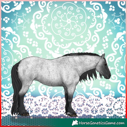 Horse Color:Blue Roan 