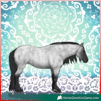 Horse Color:Blue Roan