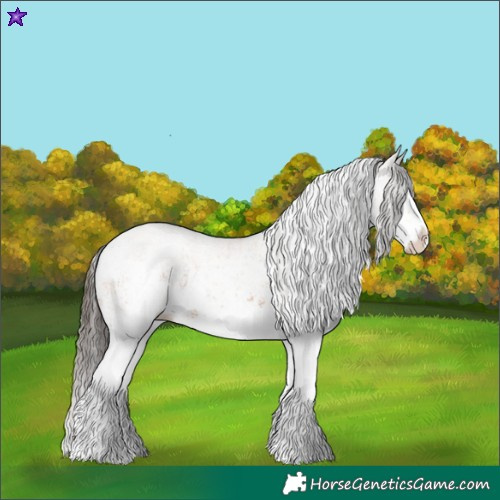 Horse Color:White Spotted Bay Splash  and White Spotted Bay Splash 