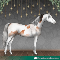Horse Color:White Spotted Bay Splash  and Gray White Spotted Bay Splash 