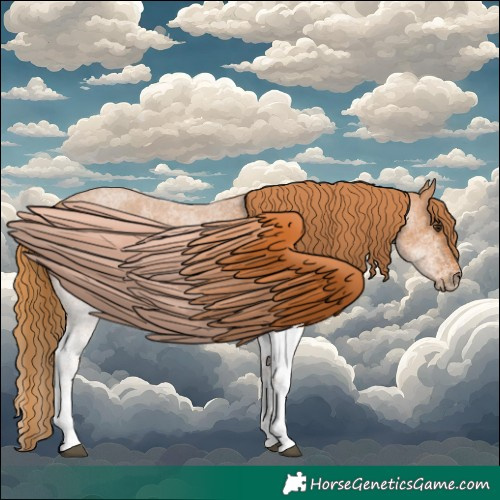 Horse Color:White Spotted Red Roan 