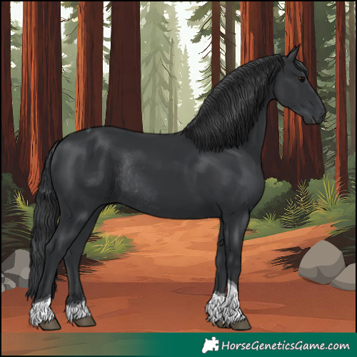 Horse Color:Black Tobiano Rabicano