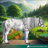 Horse Color:Grullo Sabino Splash  and Grullo Sabino Splash 