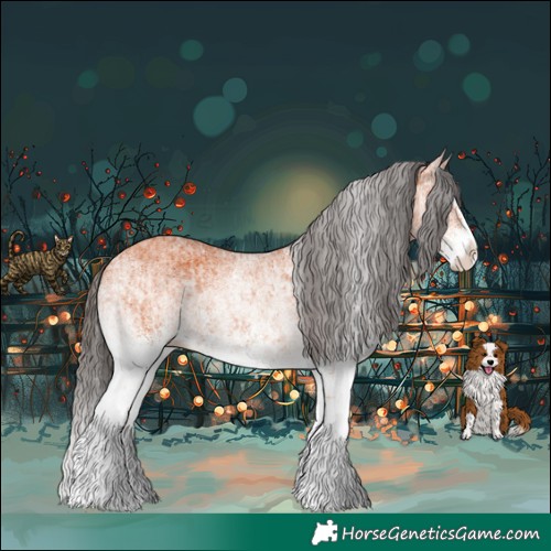 Horse Color:White Spotted Bay Splash  and White Spotted Bay Splash Rabicano 