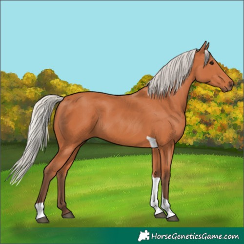Horse Color:Silver Bay Tobiano 