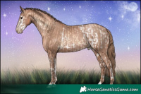 Horse Color:Bay Onyx Splash Frame Appaloosa  and Black Pearl Mushroom 