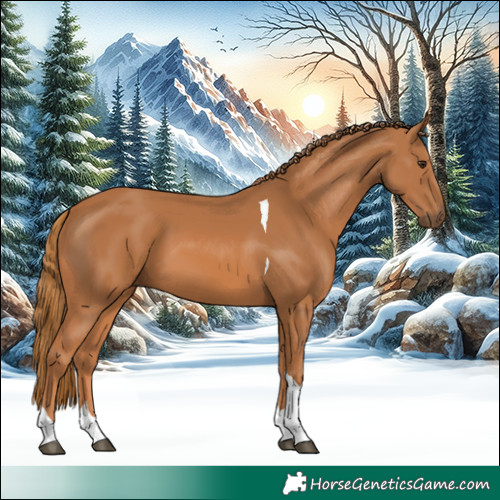 Horse Color:Chestnut Tobiano