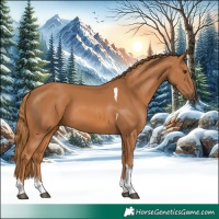 Horse Color:Chestnut Tobiano
