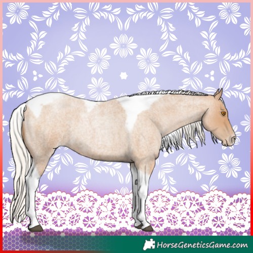Horse Color:Silver Blue Roan Pearl Tobiano Frame 