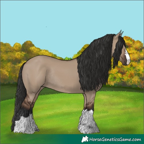 Horse Color:Liver Red Dun Rabicano 