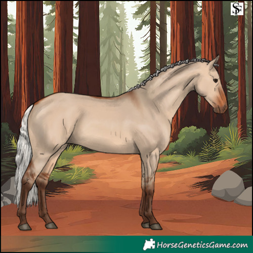 Horse Color:Silver Bay Dun 