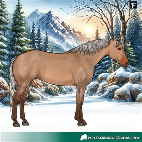 Horse Color:Silver Bay Dun 