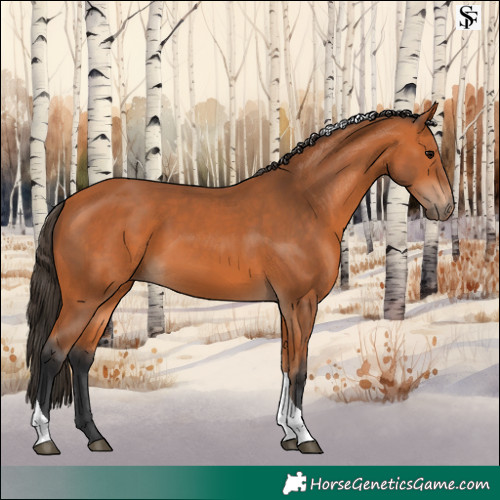 Horse Color:Bay Tobiano Rabicano 