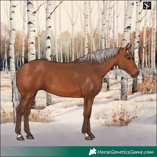 Horse Color:Silver Bay 