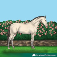 Horse Color:Amber Cream Champagne 