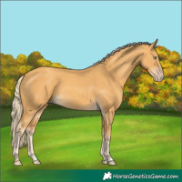 Horse Color:Gold Cream Champagne 