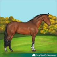 Horse Color:Bay Tobiano Rabicano