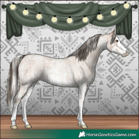 Horse Color:Classic Champagne Roan Sabino Splash  and Silver Classic Champagne Roan Sabino Splash 