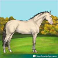 Horse Color:Amber Cream Champagne