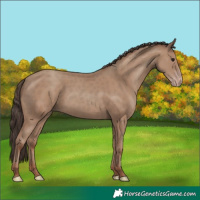 Horse Color:Classic Champagne 