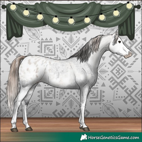 Horse Color:Blue Roan Sabino Splash Blanket  and Classic Champagne Roan Sabino Splash Blanket 
