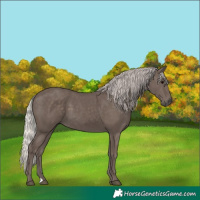 Horse Color:Silver Black 