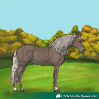 Horse Color:Silver Black 