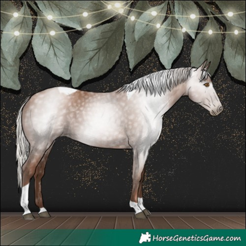 Horse Color:Gray Silver Black Pearl Tobiano 
