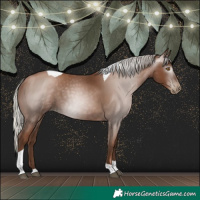 Horse Color:Gray Silver Black Pearl Tobiano 