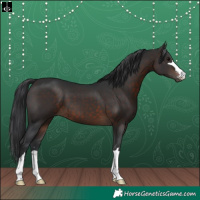 Horse Color:Brown 