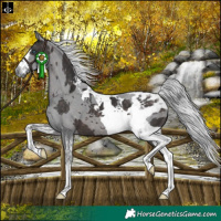 Horse Color:Platinum Silver Brown Merle Tobiano Rabicano