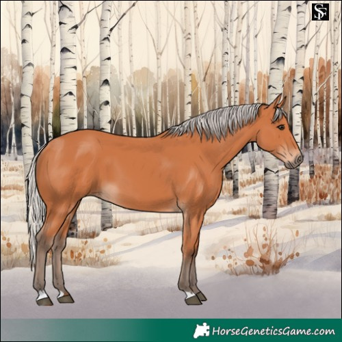 Horse Color:Silver Bay 