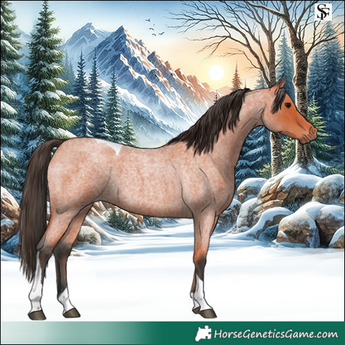 Horse Color:Bay Roan Tobiano 