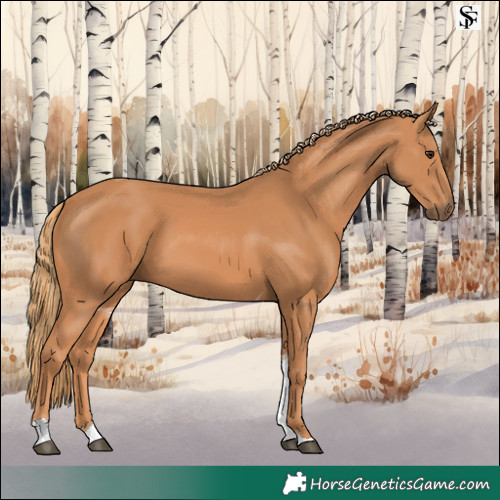 Horse Color:Chestnut Tobiano 