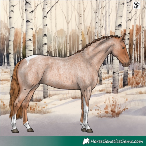 Horse Color:Red Roan Tobiano 