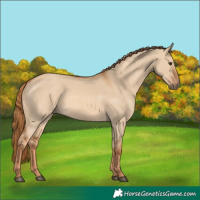 Horse Color:Red Dun