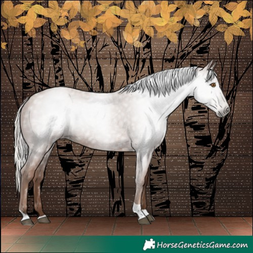 Horse Color:Gray Silver Black Pearl Tobiano 