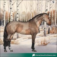 Horse Color:Brown Dun  and Bay Dun 
