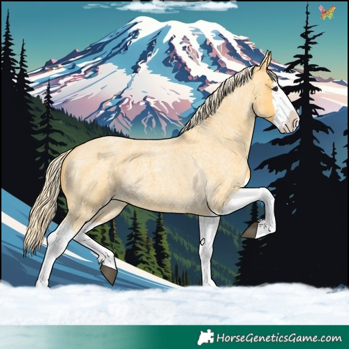 Horse Color:Palomino Roan Splash 