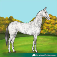 Horse Color:Smoky Blue Roan Sabino Splash  and Smoky Creme Roan Sabino Splash 