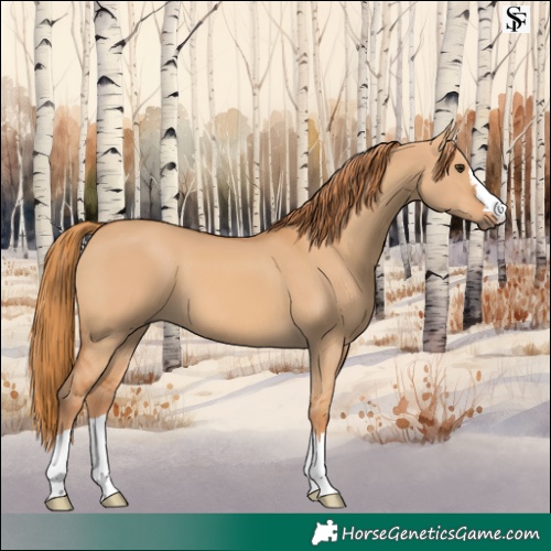Horse Color:Red Dun 