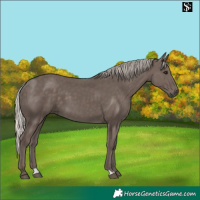 Horse Color:Silver Black 