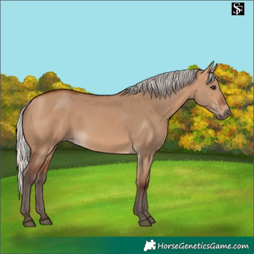 Horse Color:Silver Bay Dun 