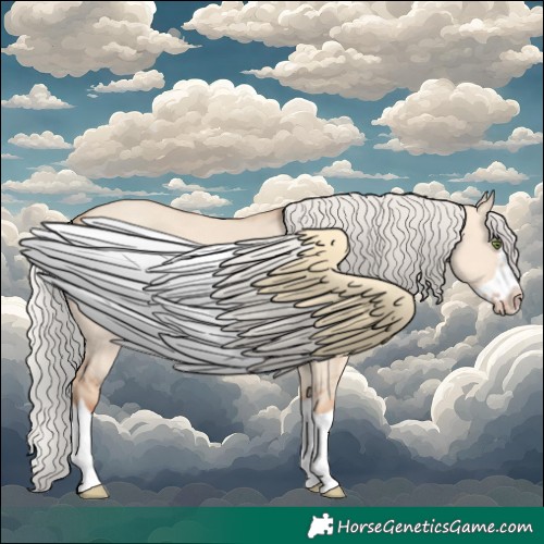 Horse Color:Silver Classic Champagne Dun Splash Frame